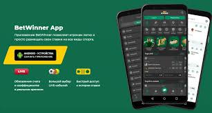 Explore the Exciting World of BetWinner Platform