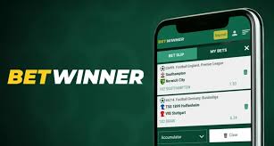 Exploring BetWinner Your Ultimate Online Betting Partner